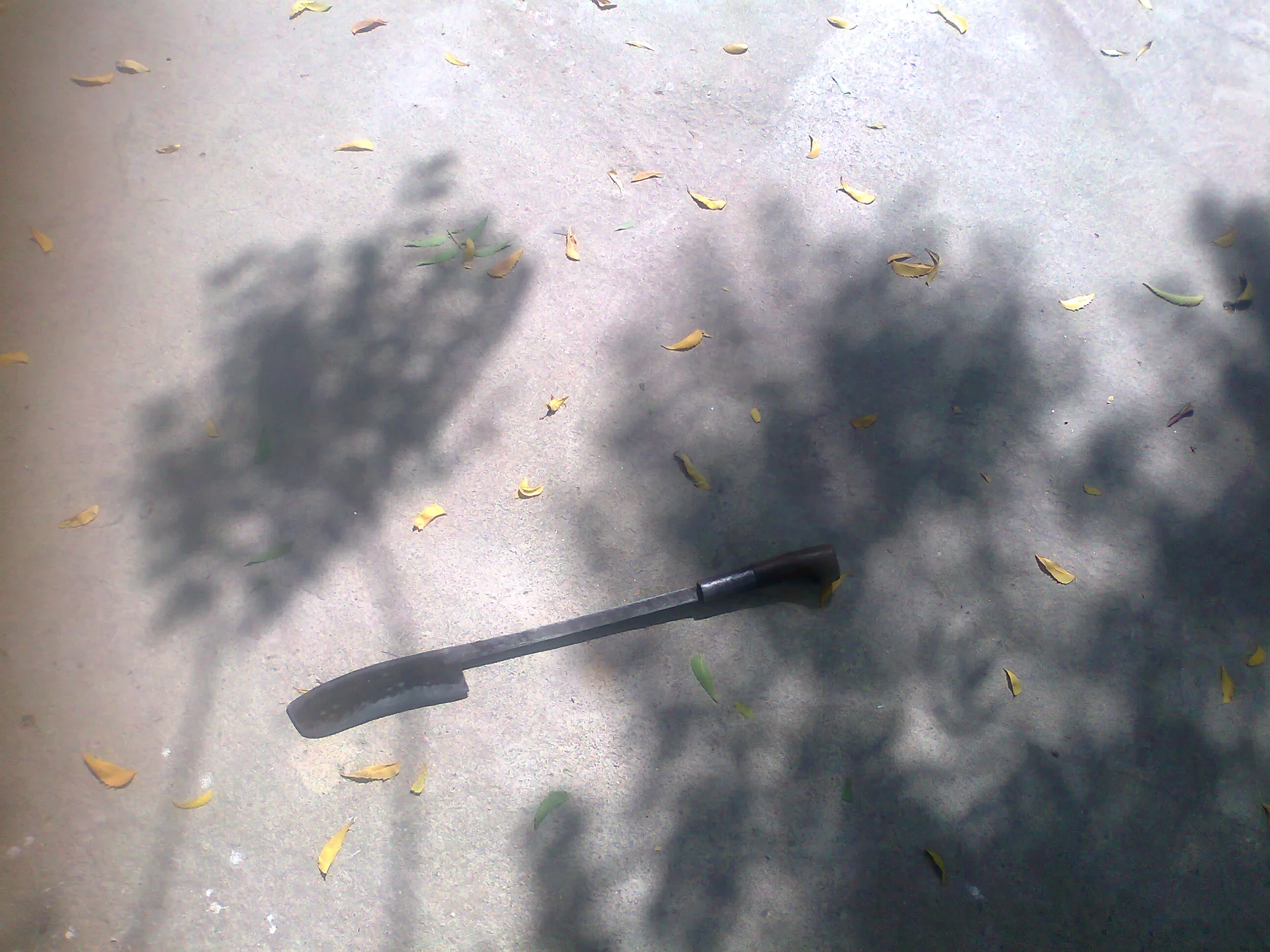 Rajasthani axe for pruning neem trees